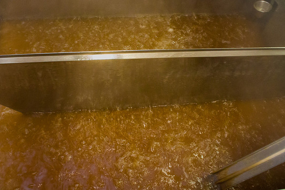 MapleFest