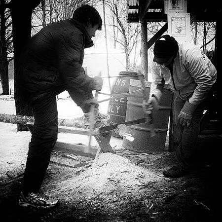 MapleFest