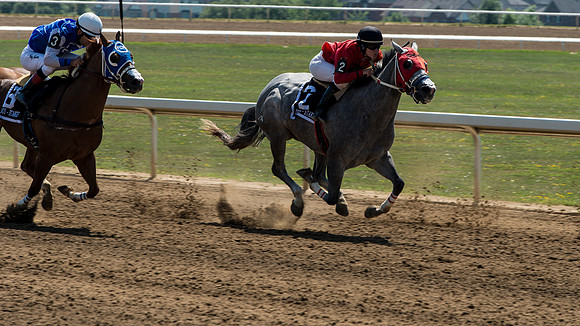 Horse Racing