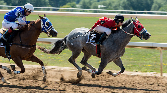 Horse Racing