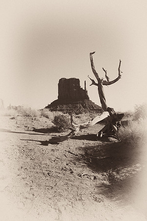 The Hanging Tree