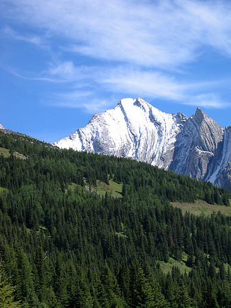 Mountain,Forest and Sky