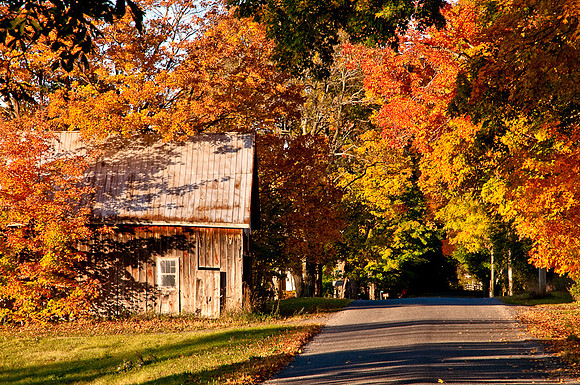 Morrison Road