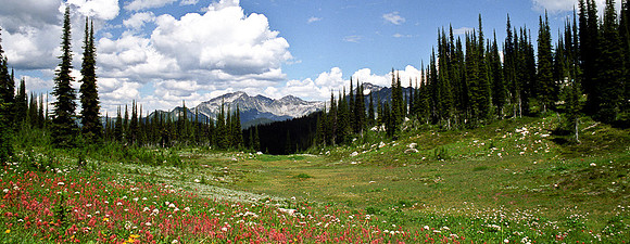 Panorama Mount Revelstoke