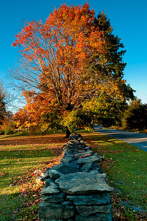Stone Fence