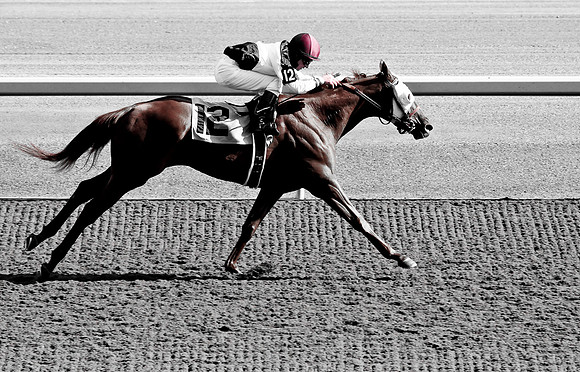 Horse Racing