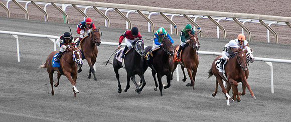 Horse Racing