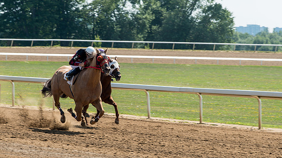 Horse Racing