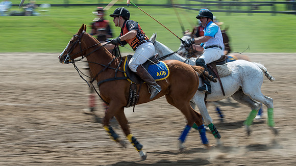 Polo