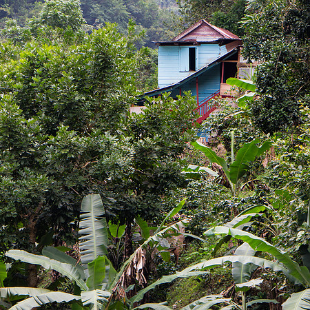 Jamaica