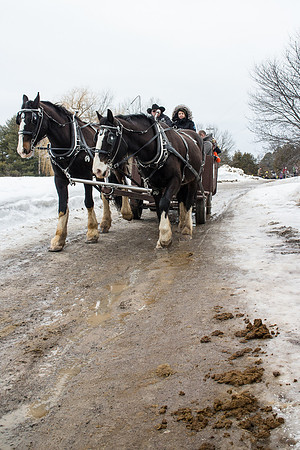 MapleFest