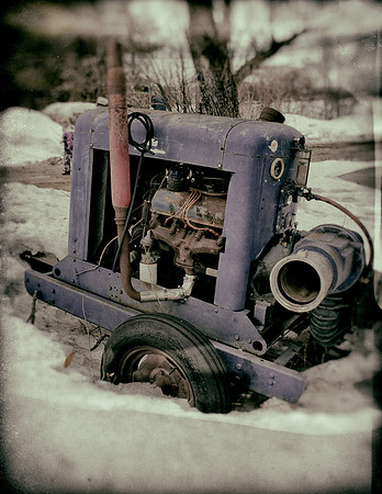 MapleFest