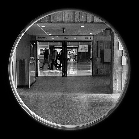 Looking Glass